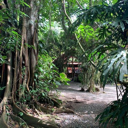 Brigitte'S Ranch Hotel Cahuita Luaran gambar