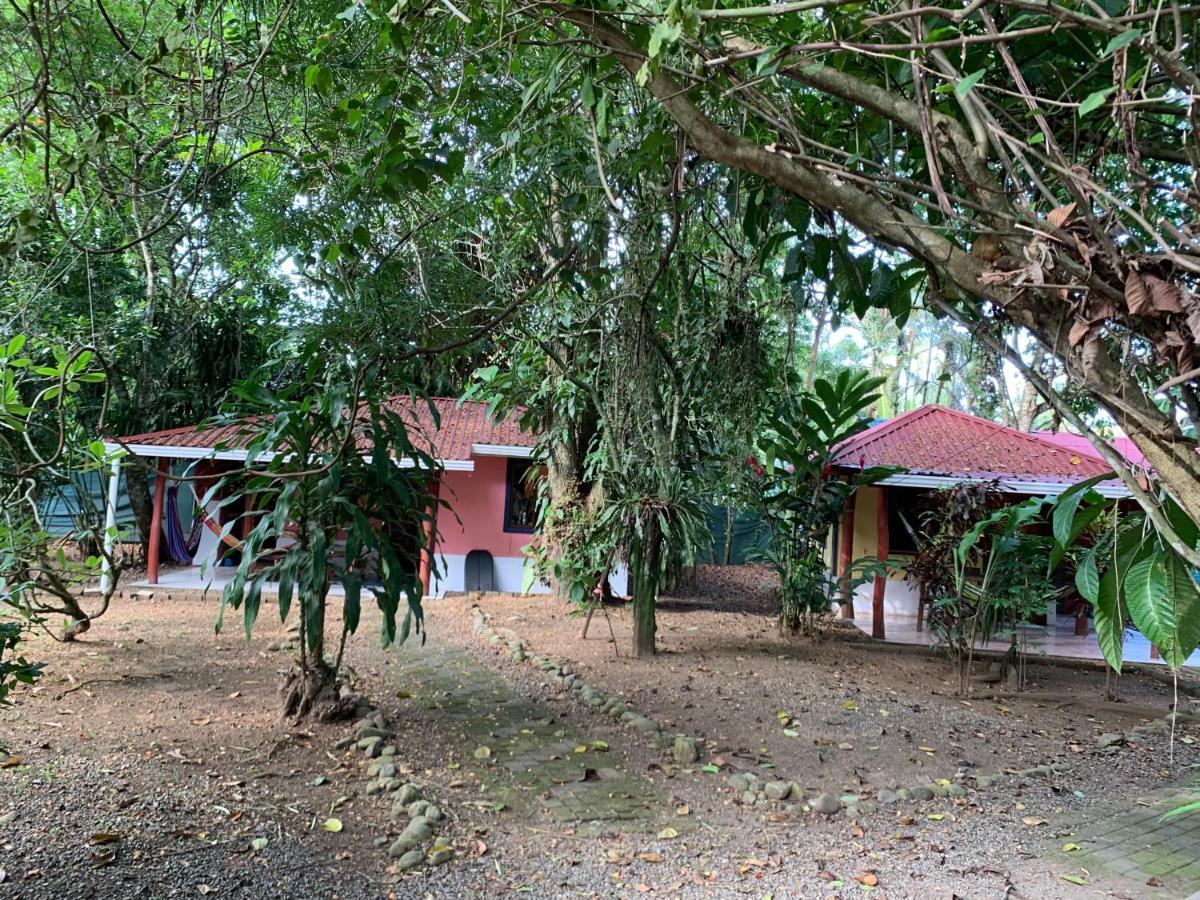 Brigitte'S Ranch Hotel Cahuita Luaran gambar