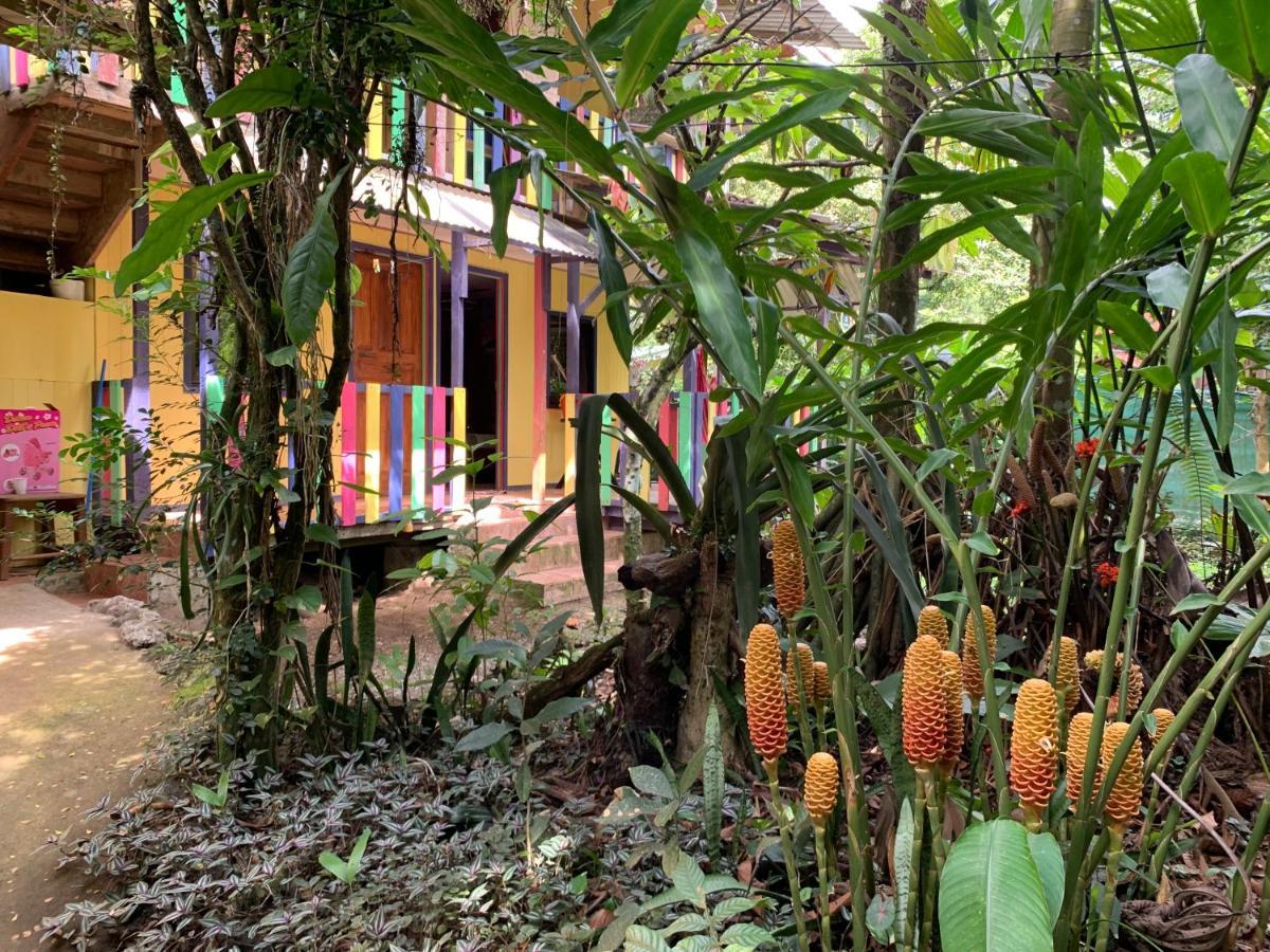 Brigitte'S Ranch Hotel Cahuita Luaran gambar