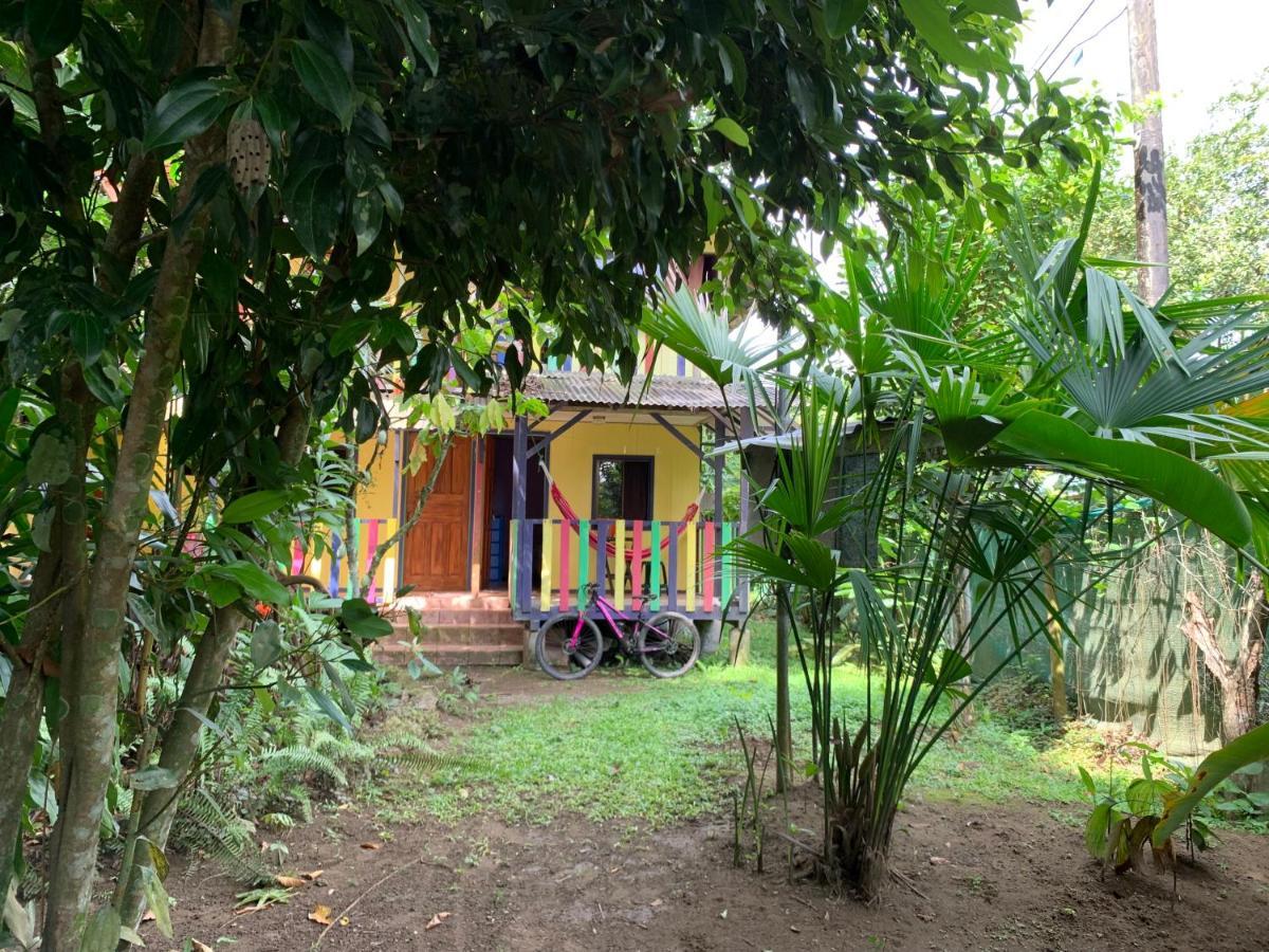 Brigitte'S Ranch Hotel Cahuita Luaran gambar