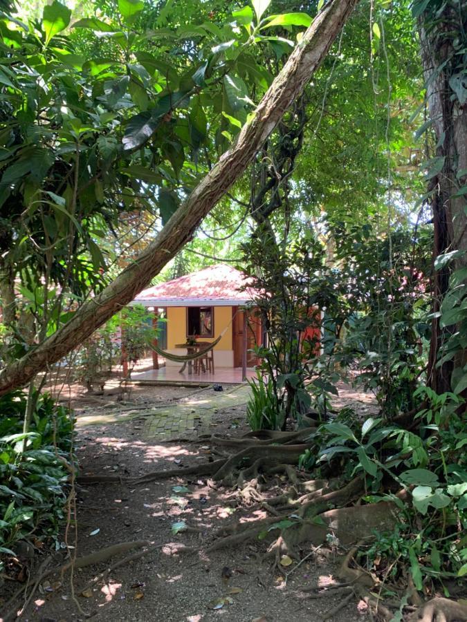 Brigitte'S Ranch Hotel Cahuita Luaran gambar