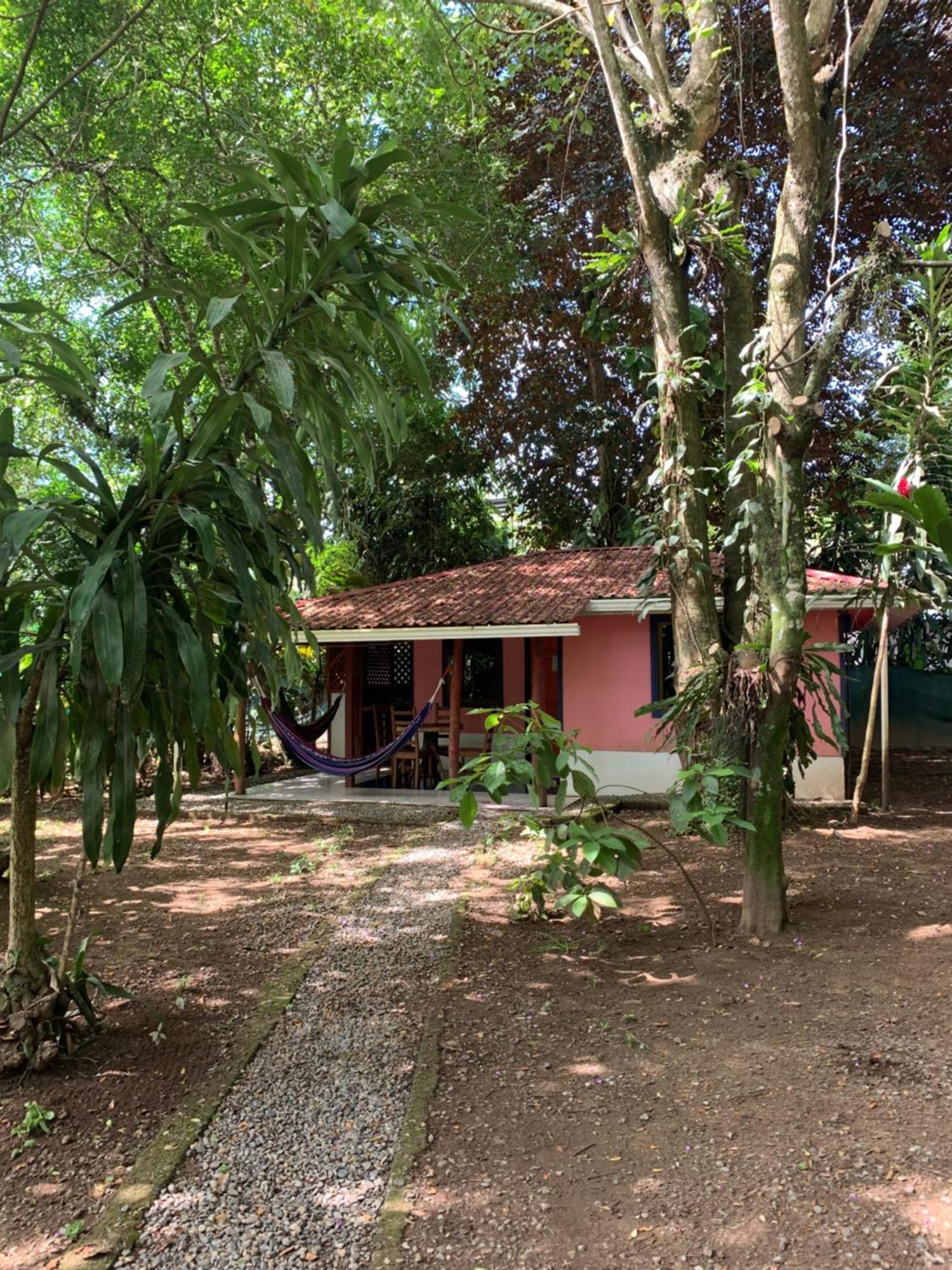 Brigitte'S Ranch Hotel Cahuita Luaran gambar