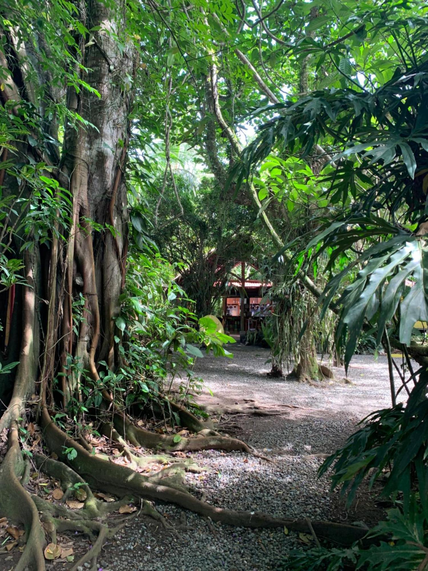 Brigitte'S Ranch Hotel Cahuita Luaran gambar