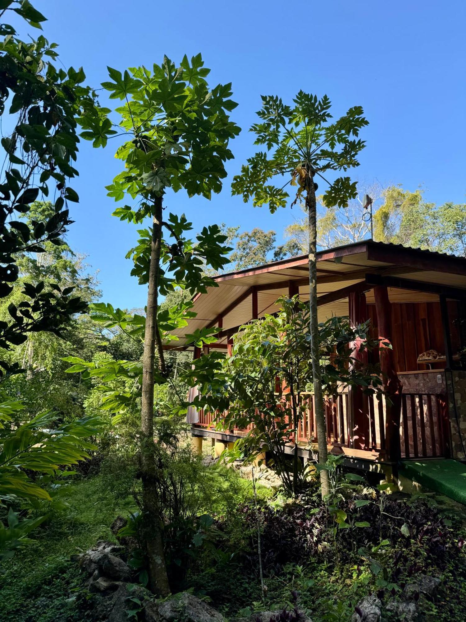 Brigitte'S Ranch Hotel Cahuita Luaran gambar