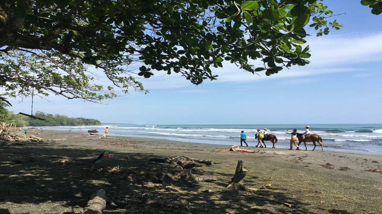 Brigitte'S Ranch Hotel Cahuita Luaran gambar